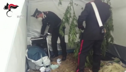DROGA A STUPINIGI - L'Ente Parco: 'Illeciti a livello ambientale. Necessario ripristinare il prima possibile'