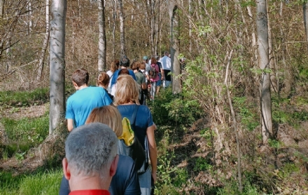 CARMAGNOLA - Passeggiata e concerto silenzioso al Bosco del Gerbasso