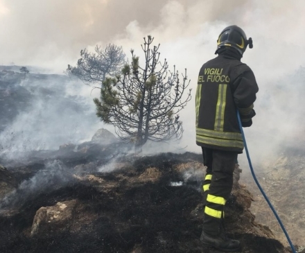 MONCALIERI - Incendio in collina: due squadre dei vigili del fuoco al lavoro