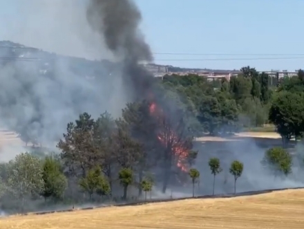 BEINASCO - Grave incendio al confine con Torino, minacciata la manifestazione dei rapaci