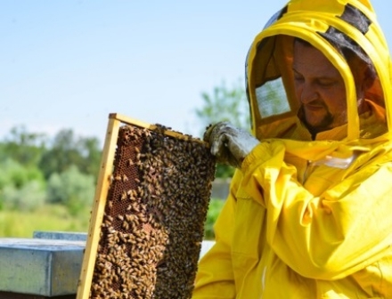 VINOVO - Stefano Zoccolan di Miemole scelto tra i «Maestri del Gusto 2025-26»