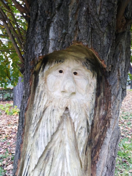 ORBASSANO - Gli alberi abbattuti diventano sculture di folletti e gnomi