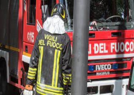 CARIGNANO - Pipistrelli nella banca, devono intervenire i vigili del fuoco
