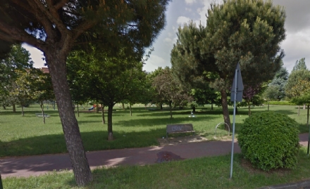 NICHELINO - Taglio del verde pubblico, la ditta vince l'appalto ma non si presenta al cantiere