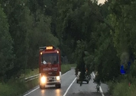 ORBASSANO - Ancora maltempo in zona sud ovest: allagamenti e disagi