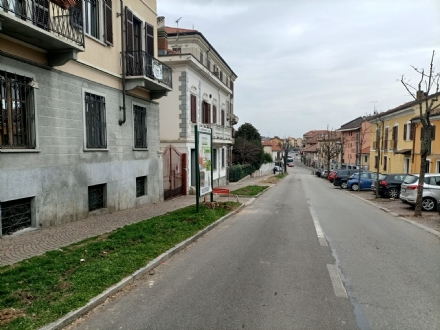 MONCALIERI - Taglio degli alberi in viale Porta Piacentina: la protesta degli ambientalisti