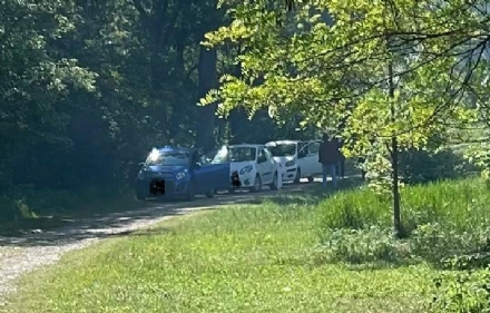 NICHELINO - Dissuasori anti auto contro i furbetti che entrano nel parco Boschetto