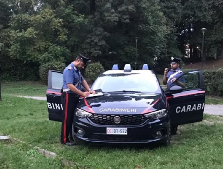CARMAGNOLA - Picchia il suo cagnolino al parco della Vigna: denunciata