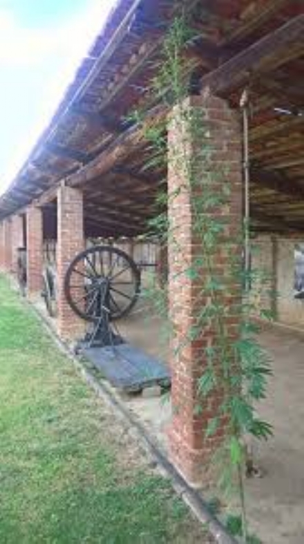 CARMAGNOLA - Nuova vita per l'ecomuseo della canapa: il Comune ricerca documenti e attrezzature storiche