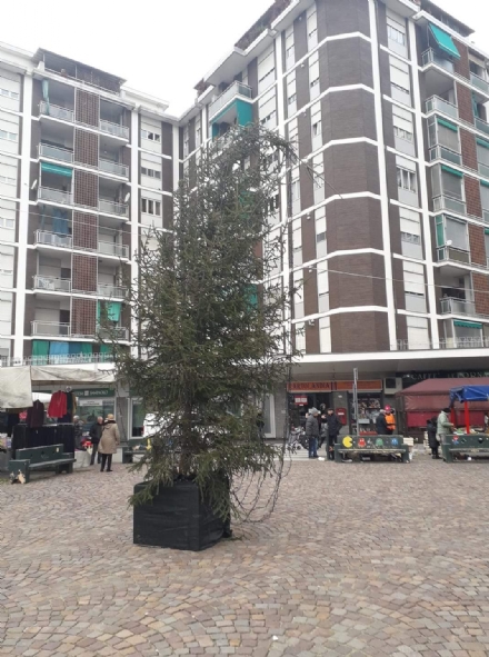 BEINASCO - Vandali colpiscono l'albero di Natale di Fornaci
