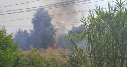 TROFARELLO - Incendio sulla ferrovia: treni fermi e caos