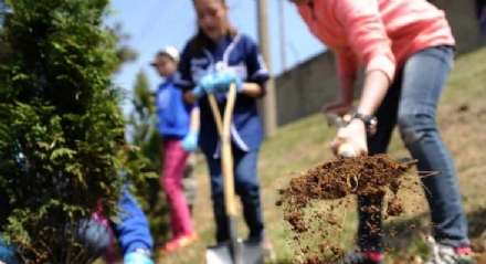 RIVALTA - La città aderisce alla campagna ambientalista #Unalberoinpiù