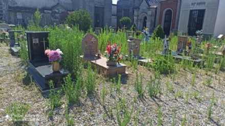 NICHELINO - Tombe invase dall'erba alta, la protesta dei parenti dei defunti