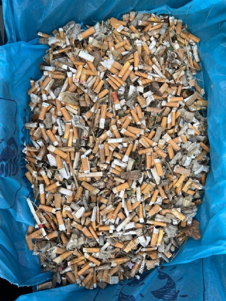 BEINASCO - I bambini delle scuole recuperano centinaia di mozziconi gettati per terra