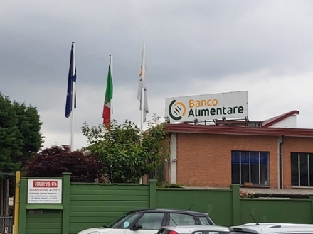 MONCALIERI - Al Banco Alimentare distribuito il cibo per animali raccolto dai donatori