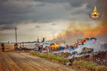 CARMAGNOLA - A fuoco rotoballe di canapa sativa: intervento in forze dei vigili del fuoco in un'azienda - FOTO