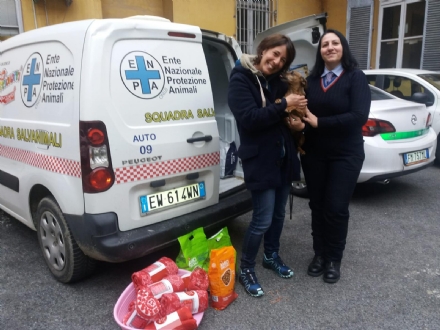 NICHELINO - La polizia locale aiuta il canile di Chieri per l'inverno