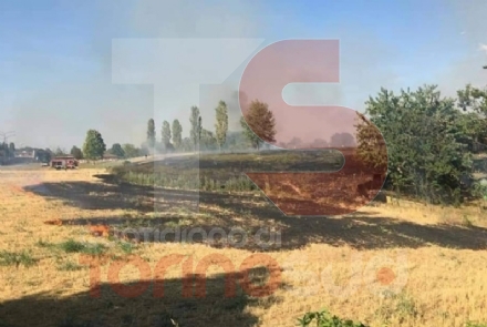 BEINASCO - Vasto incendio devasta i campi e vegetazione al confine con Torino: intervento dei vigili del fuoco - FOTO