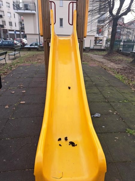 BEINASCO - Incivili in azione al parco giochi: feci sullo scivolo dei bambini