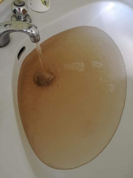 NICHELINO - Acqua gialla dai rubinetti in diverse zone della città