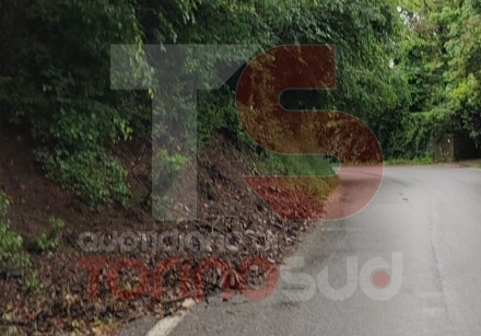 MONCALIERI - Le piogge causano piccoli smottamenti in collina