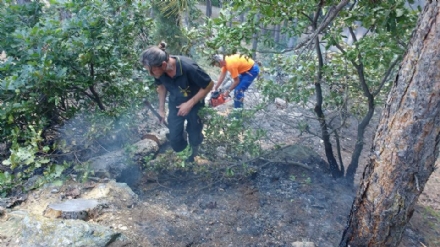 PIOSSASCO - Fiamme sul monte San Giorgio. L'incendio è stato spento dai volontari Aib e dai vigili del fuoco