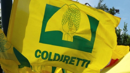 SICCITA' - Coldiretti chiede alla Regione lo stato di calamità