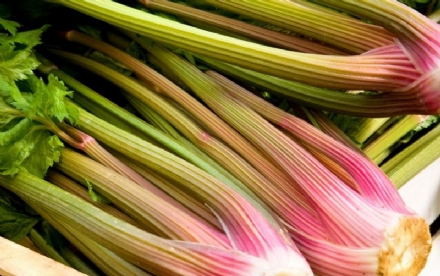 ORBASSANO - Un catalogo per i ristoranti e bar del territorio, valorizzando il sedano rosso