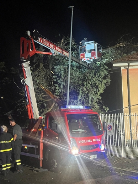 MALTEMPO - L'assessore di Nichelino: 'Ormai bisogna accettare questo tipo di fenomeni'