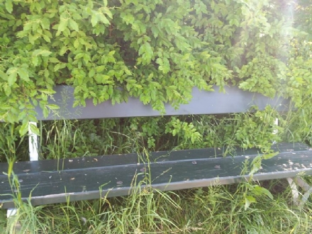 RIVALTA - Urge la manutenzione del verde, l'erba e le sterpaglie sono troppo alte