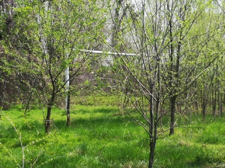 MONCALIERI - Il campo di Tetti Piatti rinasce grazie agli Amici del Chisola