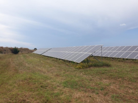 NICHELINO - La Startup che permette di partecipare a progetti green raccoglie un milione