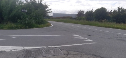 NICHELINO - Vegetazione troppo fitta e in via Buffa si rischia l'incidente ogni giorno