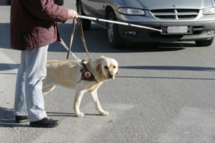 PIOSSASCO - Non vedente con il cane guida colpito da un'auto mentre attraversa la strada
