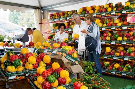 CARMAGNOLA - La truffa on line su contratti pubblicitari legati alla fiera del Peperone