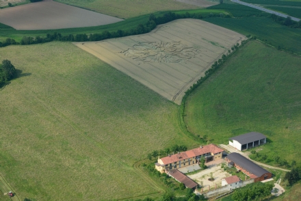 VIRLE - Primo cerchio nel grano della stagione estiva