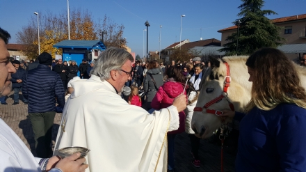LA LOGGIA - «Gli animali hanno il soffio vitale e andranno in Paradiso»