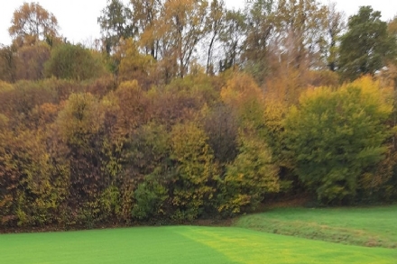 RIVALTA - Cinque terreni in collina donati alla Pro Natura che li metterà a disposizione dei cittadini