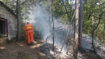 PIOSSASCO - Nuovo incendio sul monte San Giorgio. Vigili del fuoco e squadra Aib in azione