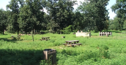 NICHELINO - Riapre lo spazio barbecue al parco Boschetto