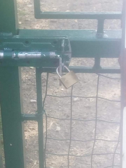 NICHELINO - Lucchetto all'area cani in via Bengasi: ' A qualcuno dà fastidio'