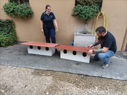 NICHELINO - Arrivano le casette per proteggere i gatti delle colonie feline