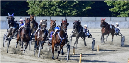 VINOVO - Allarme dell'ippodromo: 'Settore già a rischio, si facciano gare a porte chiuse&quot;