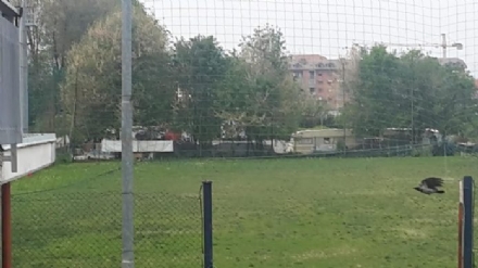 MONCALIERI - Campo nomadi del Colombetto: proteste per fumi e odori molesti