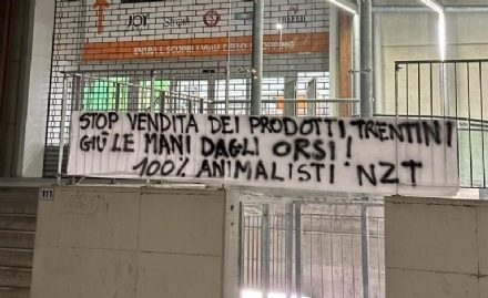 NICHELINO - Striscioni in difesa degli orsi del Trentino affissi dagli animalisti di fronte ai supermercati