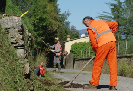 NICHELINO - Lavoro, cinque posti disponibili per over 58 nel progetto Cantieri di lavoro 2023