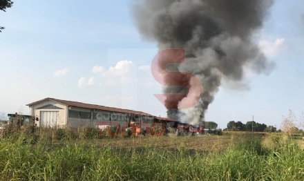 VINOVO - Incendio in un'azienda agricola: a fuoco un magazzino di stoccaggio - FOTO