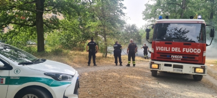 NICHELINO - Incendio al parco Boschetto: all'origine forse una sigaretta buttata nella sterpaglia secca