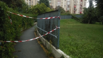 NICHELINO - Crolla albero sulla passerella pedonale di via Cacciatori