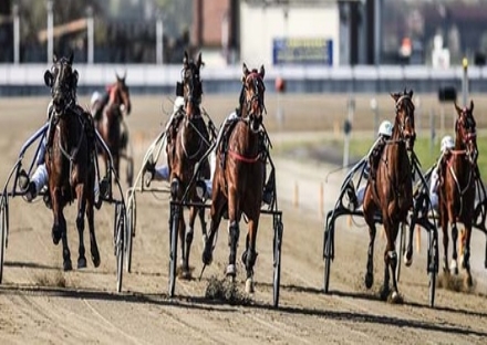 VINOVO - Paura all'ippodromo: i driver cadono durante la corsa. Ricoverati al Cto